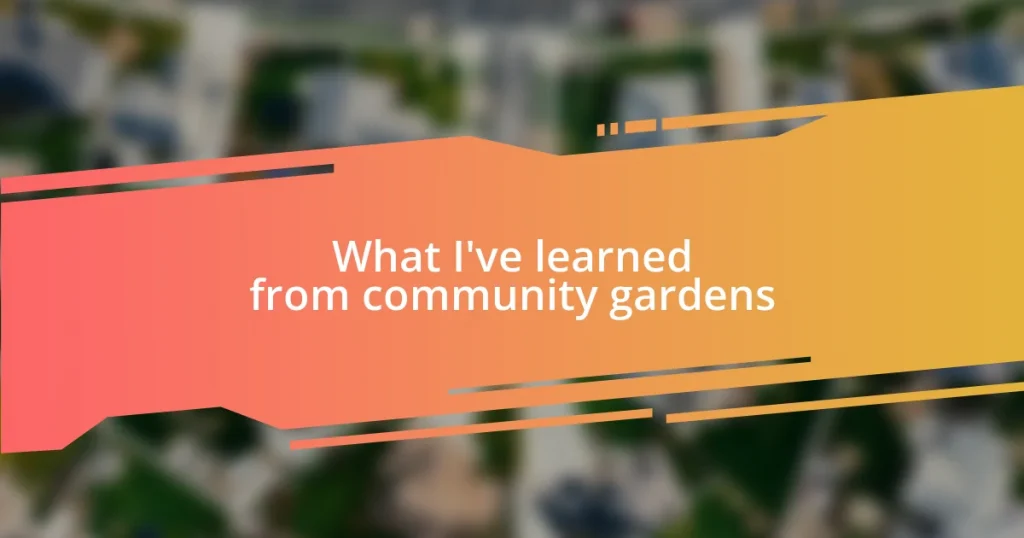 What I’ve learned from community gardens